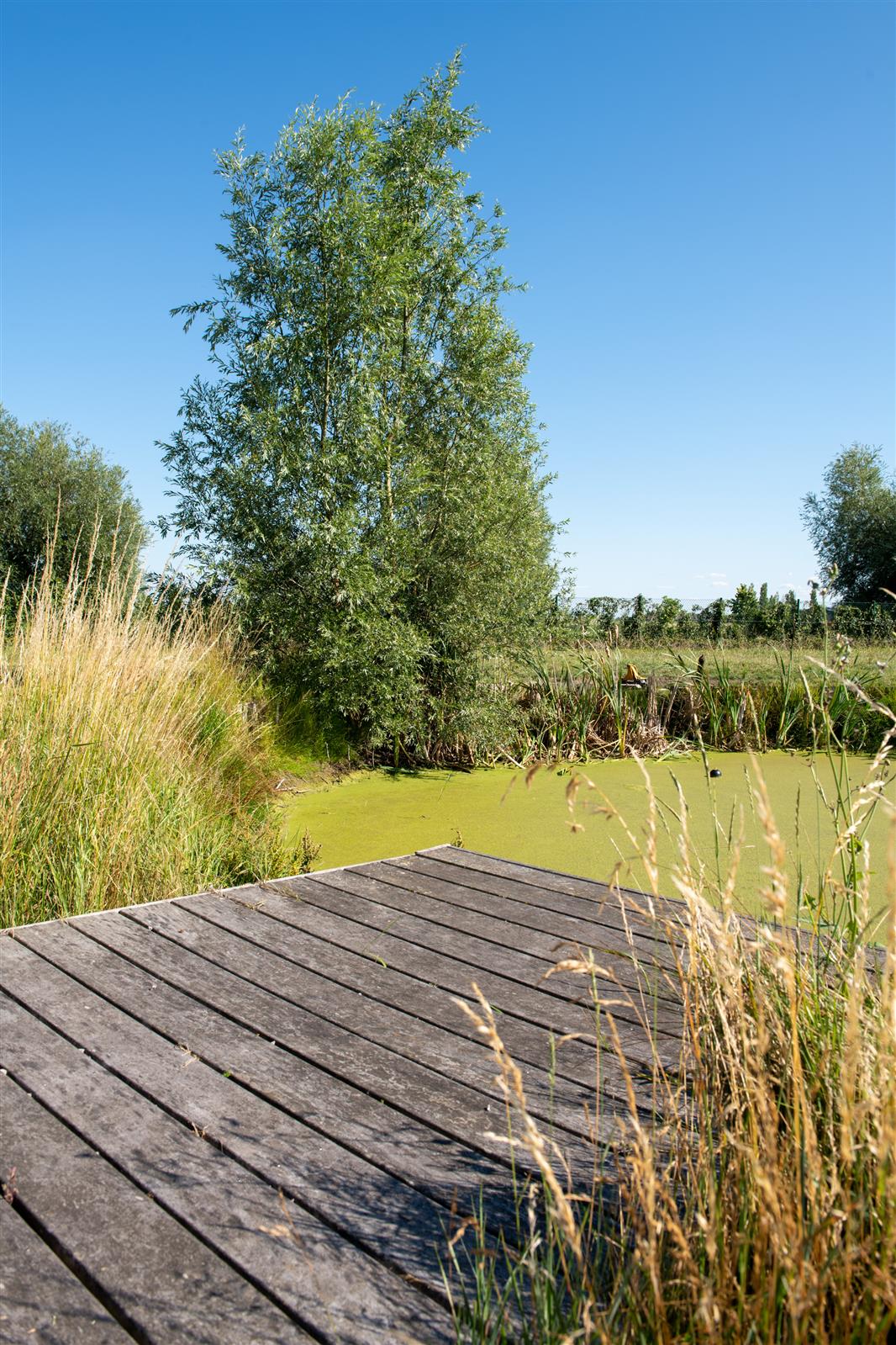 Vakantiewoning Pervijze