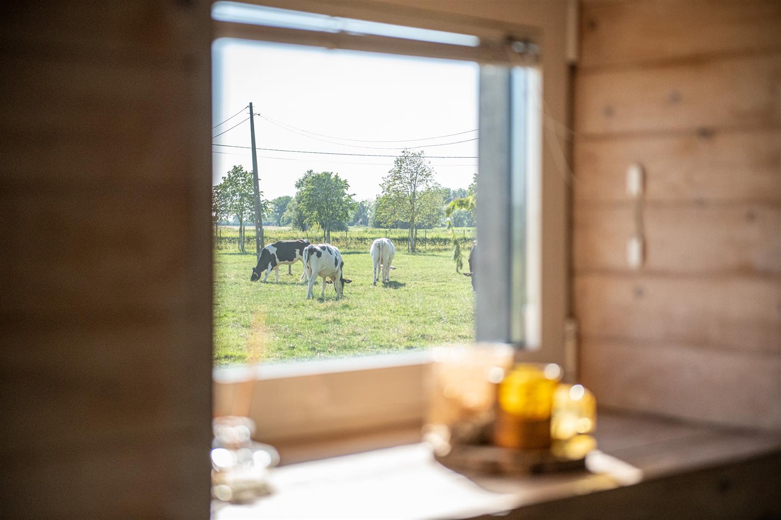 Vakantiewoning Pervijze